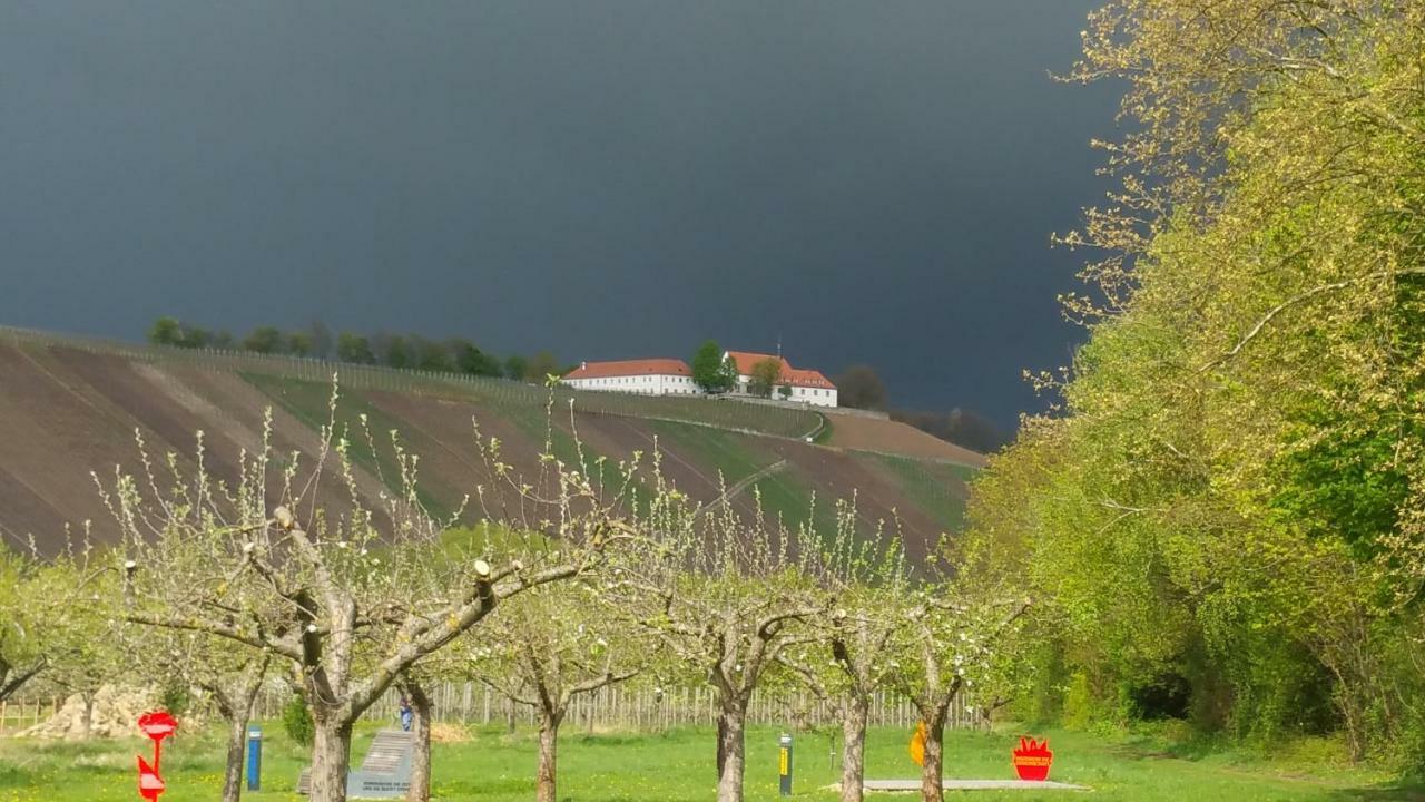 Gasthaus Zur Sonne Ξενοδοχείο Nordheim am Main Εξωτερικό φωτογραφία